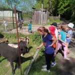 phoca_thumb_m_veverky u rybnka 7 Fotogalerie